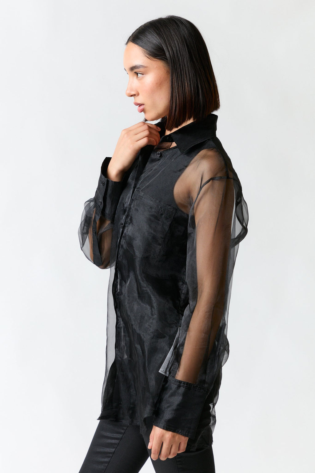 Camisa negra transparente | Zara